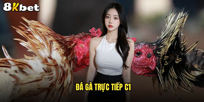 đá gà trực tiếp C1