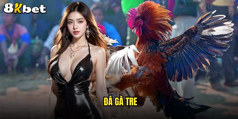 đá gà tre