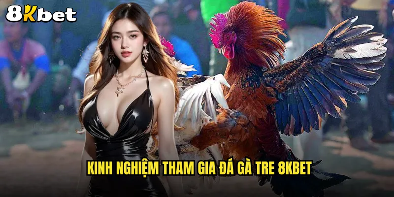 Kinh nghiệm tham gia đá gà tre 8KBET