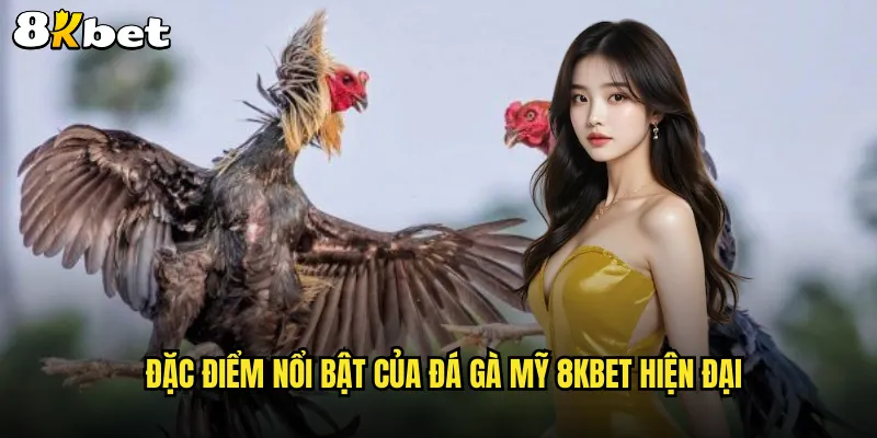 Đá gà Mỹ 8KBET phong cách Tây Âu đẳng cấp thế giới 2 Đặc điểm nổi bật của đá gà Mỹ 8KBET hiện đại