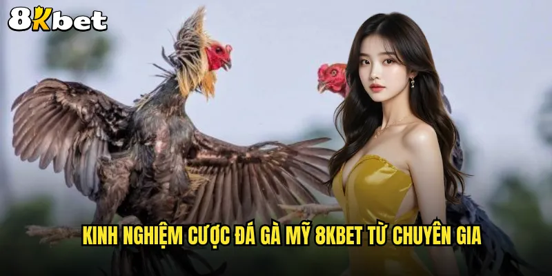 Đá gà Mỹ 8KBET phong cách Tây Âu đẳng cấp thế giới 3 Kinh nghiệm cược đá gà Mỹ 8KBET từ chuyên gia