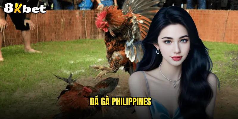 đá gà Philippines