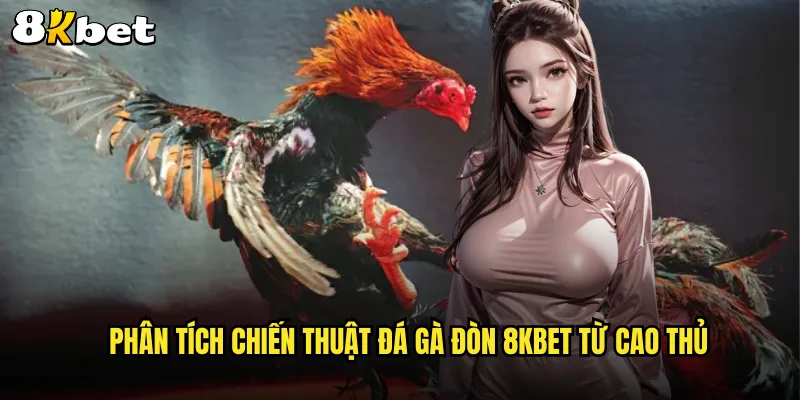 Đá gà đòn 8KBET kỹ thuật đánh gà cổ điển đỉnh cao nghệ thuật 3 Phân tích chiến thuật đá gà đòn 8KBET từ cao thủ