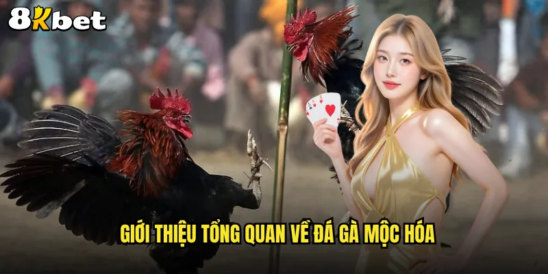 Giới thiệu tổng quan về đá gà mộc hóa