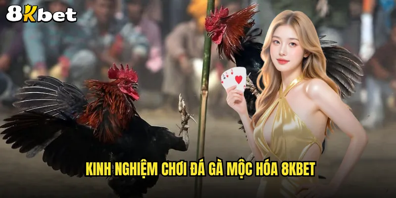 Kinh nghiệm chơi Đá gà mộc hóa 8KBET