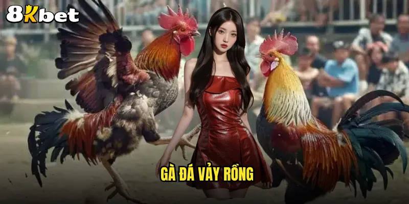 gà đá vảy rồng