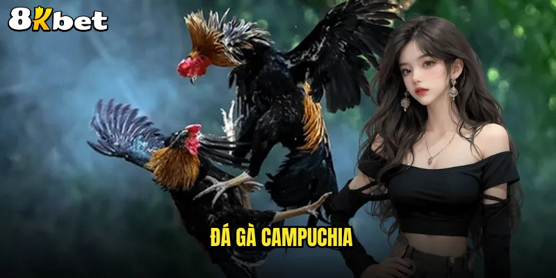 đá gà Campuchia