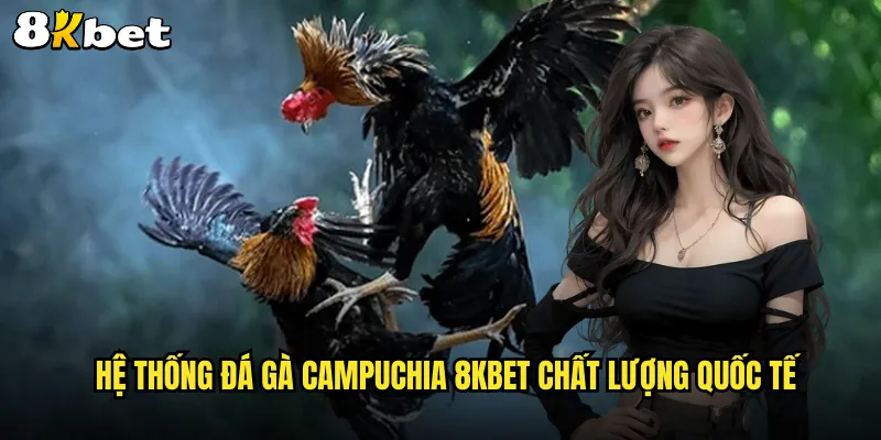 Hệ thống đá gà Campuchia 8KBET chất lượng quốc tế