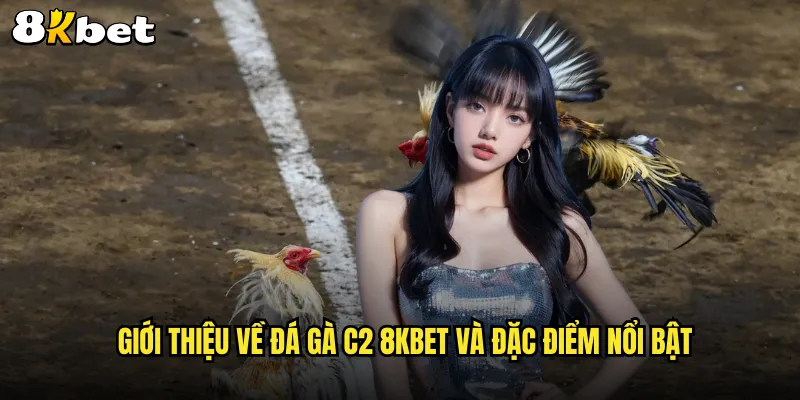 Giới thiệu về đá gà c2 8KBET và đặc điểm nổi bật