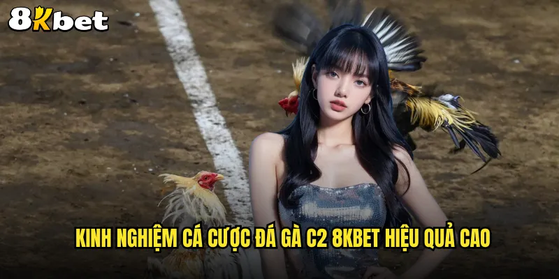 Kinh nghiệm cá cược đá gà c2 8KBET hiệu quả cao