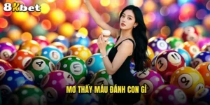 mơ thấy máu đánh con gì